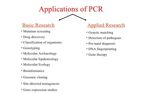 Applications of polymerase chain reaction (PCR) - Overall Science