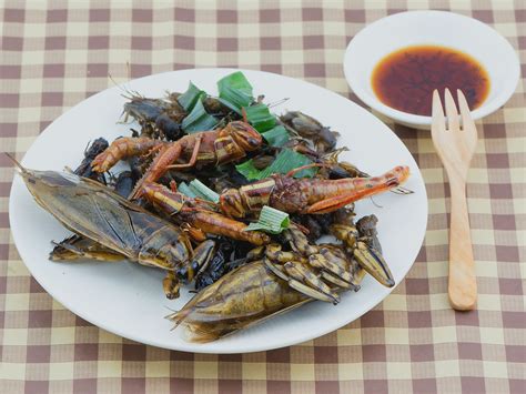 Belgian start up puts crickets on the menu | The Independent