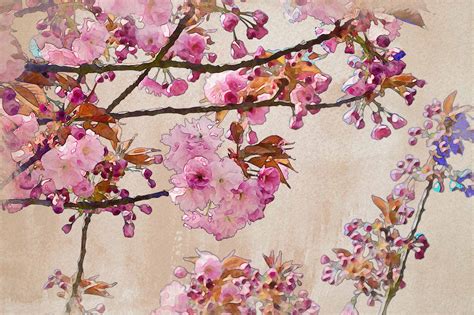 25+ Cherry Blossom Watercolor Inspirations to Dream About ...