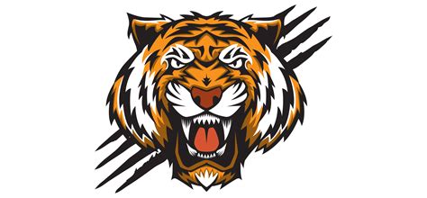 Morrill Middle School Tigers | FineLine Graphics & Design, Inc.