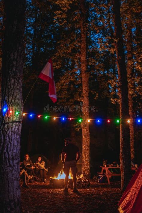 Vertical Shot of the Camping with Friends in the Woods at Night ...