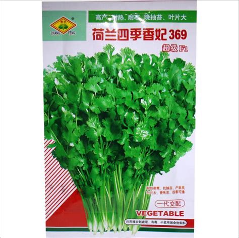 Touchhealthy Supply Cilantro Seeds for Planting/Vietnamese Coriander ...