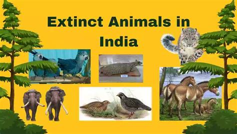 Top 10 Extinct Animals in India - with Pictures