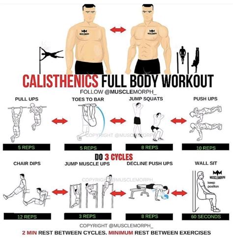 Pin by Ruben Mota on Get fit | Workout guide, Full body workout ...