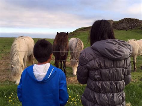 Doing A Horseback Riding Tour in Iceland - The World Is A Book