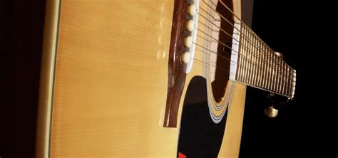 Why Use a Dreadnought Guitar for Beginners?: Exploring the Benefits ...