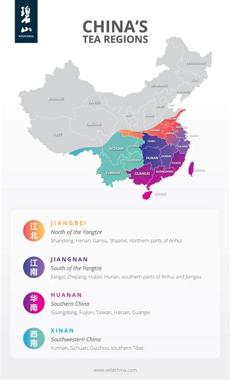 The 4 Tea Regions of China | WildChina