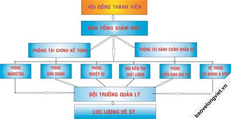 Sơ Đồ Cơ Cấu Tổ Chức Của Công Ty Dịch Vụ Bảo Vệ Long Việt