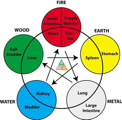 5-elements-colour - EMPOWERING HEALTH