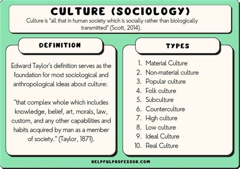 Culture in Sociology (Definition, Types and Features) (2024)