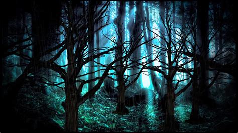 Dark Forest HD Wallpaper (61+ images)