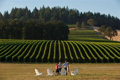 Couples enjoy wines at Stoller Vineyards. Visit Portland, Stoller ...