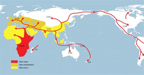 Early Human Migration - World History Encyclopedia