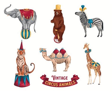 110 Circus Giraffe Vintage Draw Images, Stock Photos, 3D objects ...