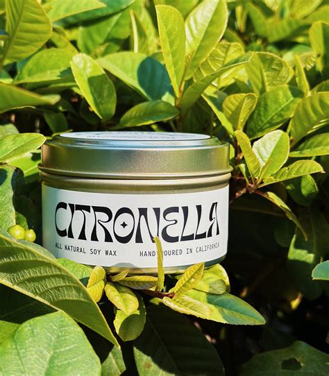 Let's Meet Our Citronella Travel Candle – Often Wander