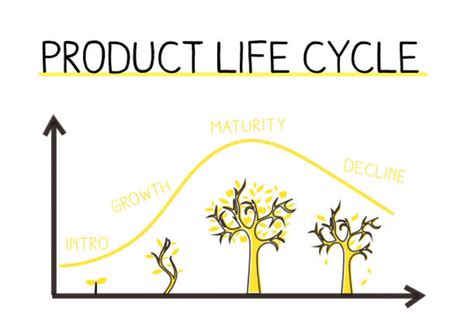 Introduction to the Product Life Cycle: Examples and Stages