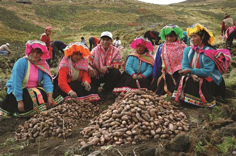 130 Peruvian Potato Varieties Cataloged | Potato Grower Magazine