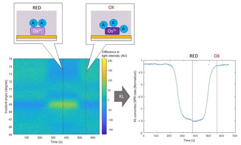 Biosensors | Free Full-Text | Data Processing of SPR Curve Data to ...