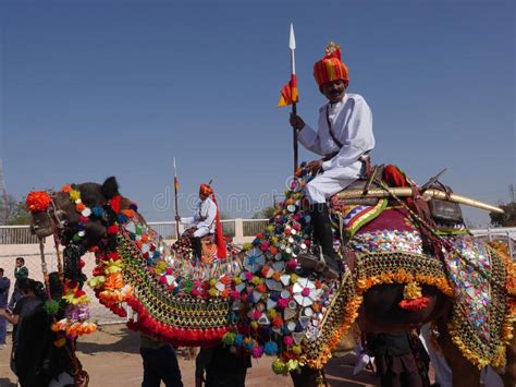 Decorated Camel at Top Indiaâ€™s Camel Festival â€œBikaner Camel ...