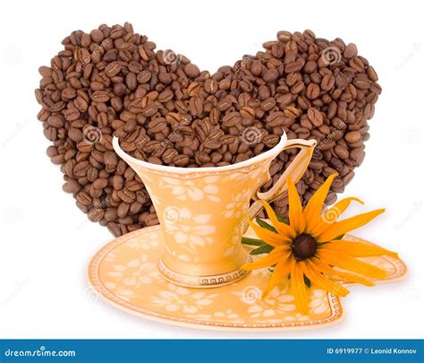 Coffee aroma yellow flower stock image. Image of coffee - 6919977