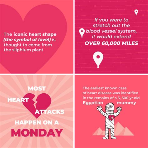 All the Heart Facts You Need for American Heart Month