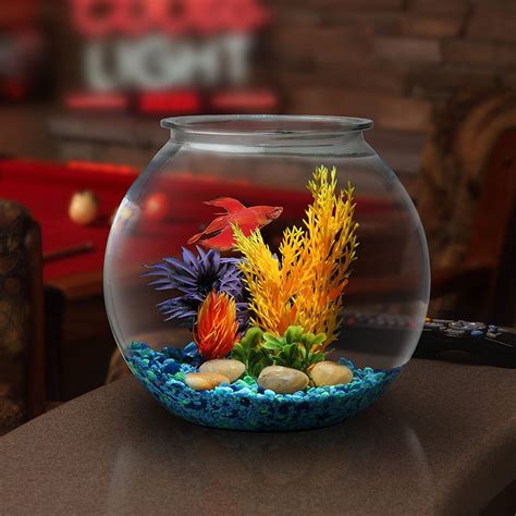 Aquarium Design | Fish bowl decorations, Betta fish bowl, Glass fish bowl