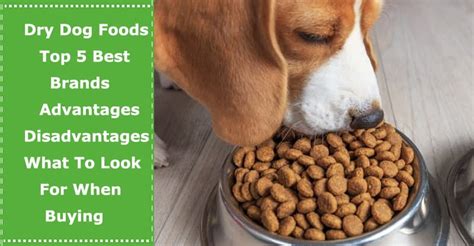 Dry Dog Foods: Top 5 Best Brands, Advantages, Disadvantages & What To ...