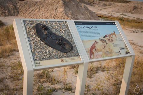 Fun Fact: Badlands National Park Fossil Finds - TRIPS TIPS and TEES