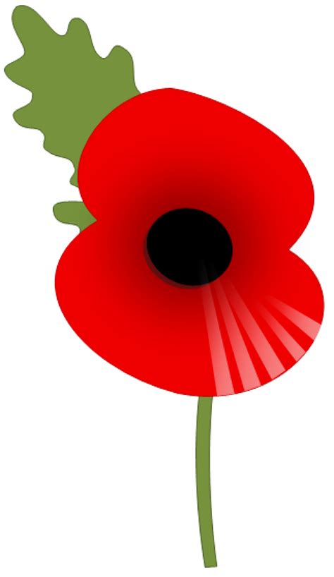 remembrance day poppy png - Clip Art Library