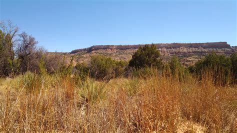 Palo Duro Canyon State Park | Been There, Seen That