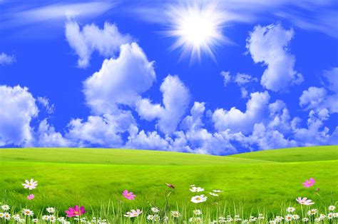 Grass and Sky Wallpaper (71+ images)