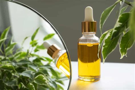 The 10 Best Vitamin E Oils in 2024 - Beauty Mag