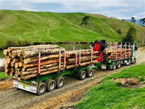 International Logging Truck • Mills Tui