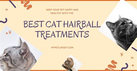 Best Cat Hairball Remedies (2020 Reviews) - My Pet Likes It