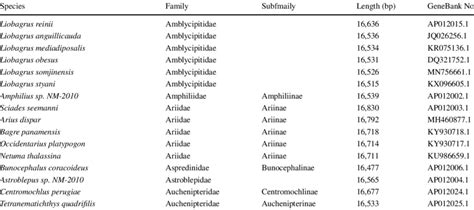 List of 128 Siluriformes and two outgroups used in this paper ...