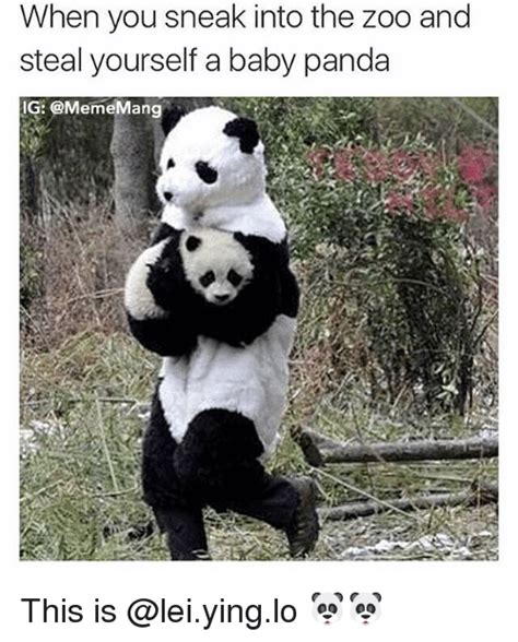 Panda - When you sneak into the zoo and steal yourself a baby panda IG ...