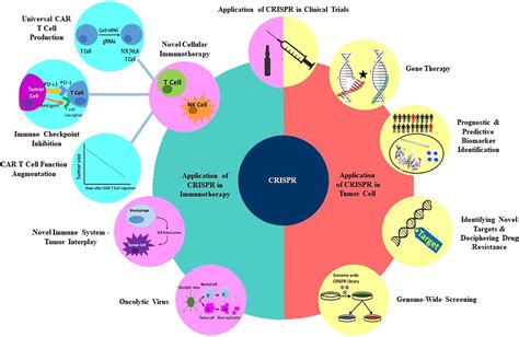 CRISPR Screen