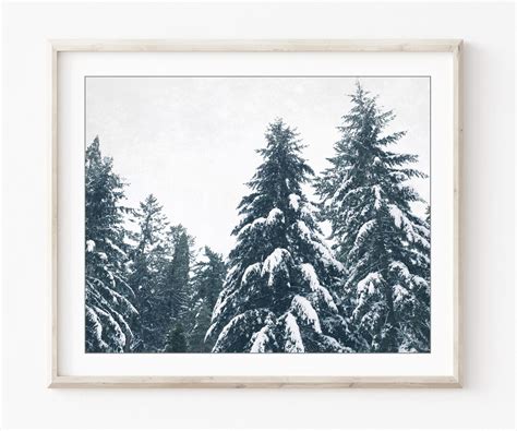 Winter Landscape Print Nature Photography Snow Oregon - Etsy