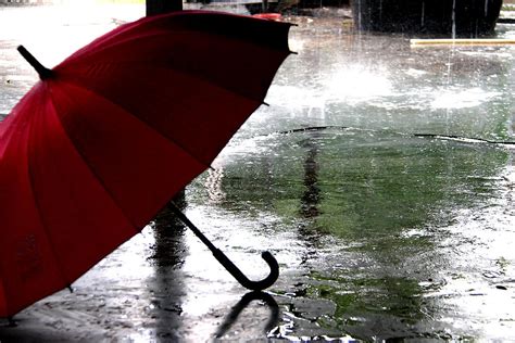 What a Personal Umbrella Policy Is (and why you need one) - First ...