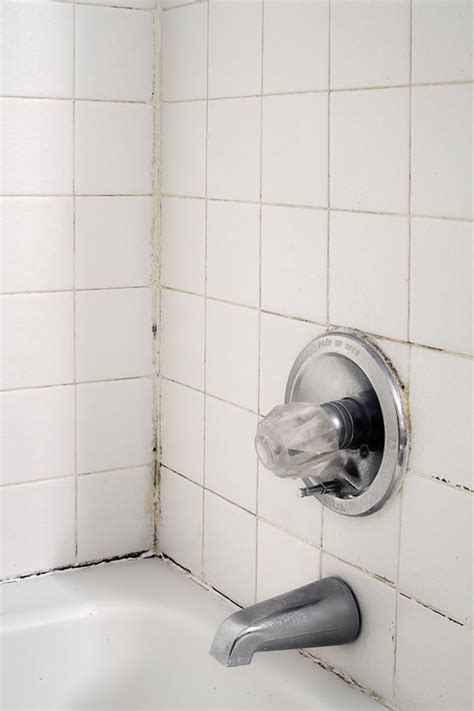 How To Restore Bathroom Tile Grout – Everything Bathroom