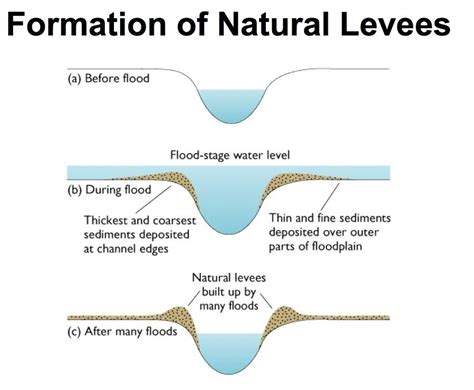 A Natural Levee Is | Current Smart Quiz