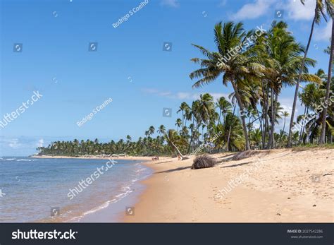 2,366 Do forte beach Images, Stock Photos & Vectors | Shutterstock