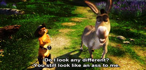 Donkey Shrek 2 Quotes. QuotesGram