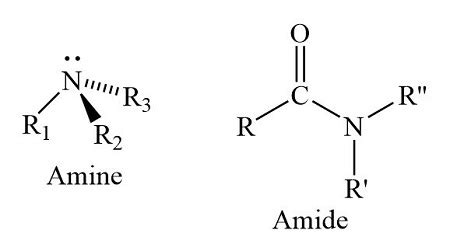 Amine Vs Amide Structure