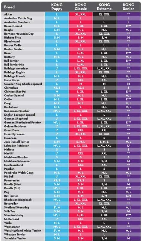 Kong Size Chart: How to Choose the Best Kong!