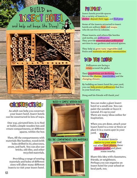 Build an insect hotel – Mongabay Kids