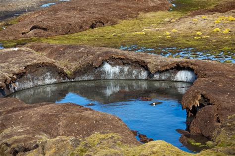 Permafrost peatlands in Europe, western Siberia nearing tipping point ...