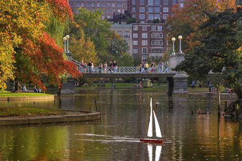 Boston Public Garden Photograph by Joann Vitali - Fine Art America