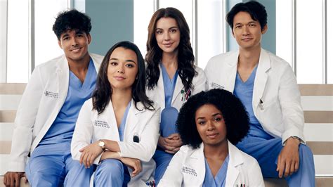 Grey's Anatomy' Season 19: Who is joining the new cast of characters?