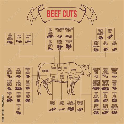 Vintage butcher cuts of beef diagram Stock Vector | Adobe Stock